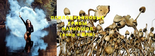 дурь Алексин